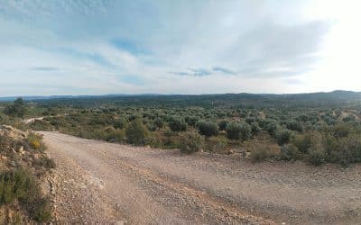 ¿Hacia dónde diriges tu mirada al caminar?
